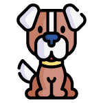 dog 5