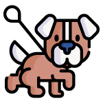 dog training